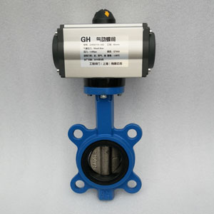 DN65ܛ�ܷ⌦(du��)�Aʽ���(d��ng)���y-��AT���(d��ng)��(zh��)����