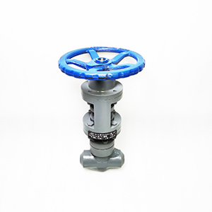 T60H-16C-DN25���ք��{���y