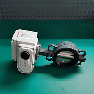 D971X-16C-DN100 늄�ܛ�ܷ���y